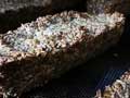 Brot & Brtchen